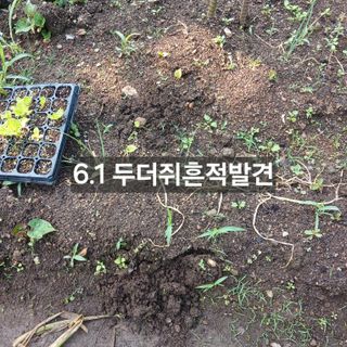 소농인님의 자유주제 · 자유게시판 작성글 사진