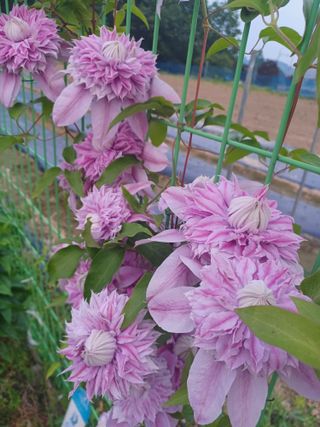 자연을사랑하자님의 자유주제 · 사진전 작성글 사진