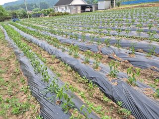 이정민님의 자유주제 · 사진전 작성글 사진