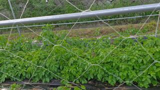 예스팜 청도님의 자유주제 · 자유게시판 작성글 사진