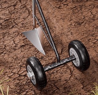 다이쏘(권자영)님의 작성글 사진