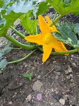 팜모닝 · 게시글 이미지