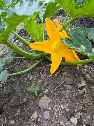 knlee님의 작성글 사진