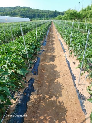 이창우님의 자유주제 · 자유게시판 작성글 사진