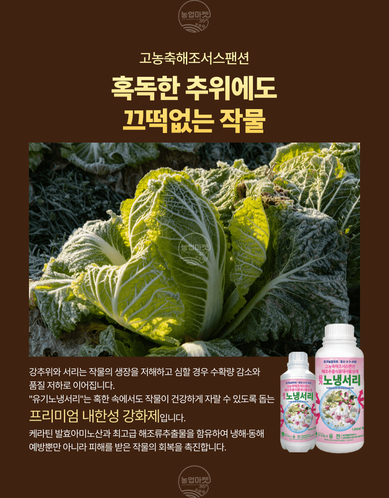 농업마켓365님의 장터 판매 상품 [농업마켓365 융전 유기노냉서리 500ml 유기농업자재 친환경자재 냉해 서리 동해 해조추출물 해조서스펜션 아미노산] 첨부 사진