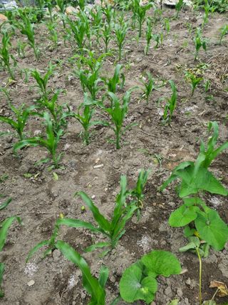 김용대님의 자유주제 · 자유게시판 작성글 사진