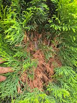 팜모닝 자유주제·자유게시판 게시글 이미지