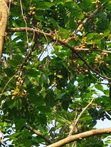 팜모닝 농사, 무엇이든 물어보세요!·참여글 게시글 이미지