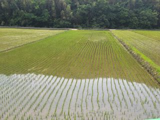 귤9669님의 자유주제 · 자유게시판 작성글 사진