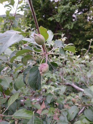 인생은 소풍처럼님의 자유주제 · 자유게시판 작성글 사진