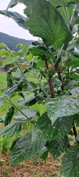 황민수님의 자유주제 · 자유게시판 작성글 사진