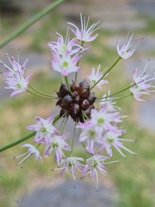 기중권님의 자유주제 · 자유게시판 작성글 사진