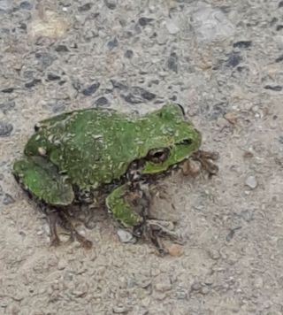 MSG0074님의 자유주제 · 자유게시판 작성글 사진