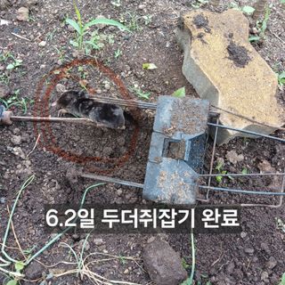 소농인님의 자유주제 · 자유게시판 작성글 사진