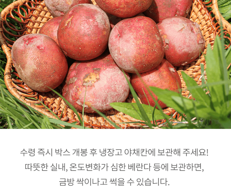 스피드번님의 장터 판매 상품 [홍감자] 첨부 사진