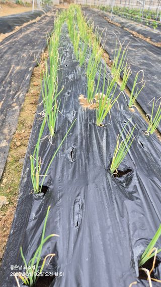 김진님의 자유주제 · 자유게시판 작성글 사진