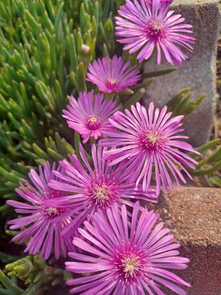 자연을사랑하자님의 자유주제 · 사진전 작성글 사진