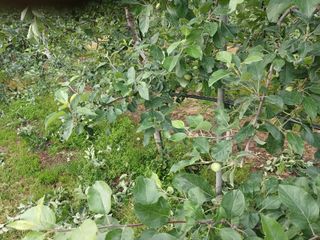 알 수 없음님의 자유주제 · 자유게시판 작성글 사진