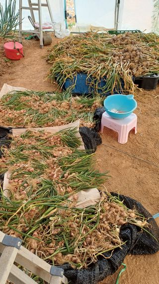 박순덕님의 자유주제 · 자유게시판 작성글 사진