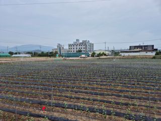 우리농원님의 자유주제 · 자유게시판 작성글 사진