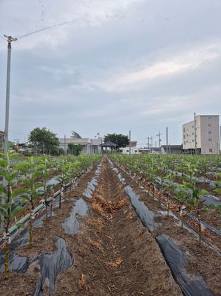 우리농원님의 자유주제 · 자유게시판 작성글 사진