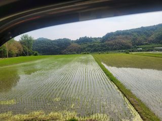 귤9669님의 자유주제 · 자유게시판 작성글 사진