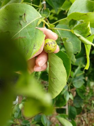 인생은 소풍처럼님의 자유주제 · 자유게시판 작성글 사진