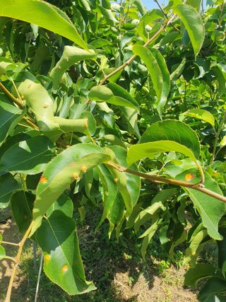 두릅나무10495님의 자유주제 · 자유게시판 작성글 사진