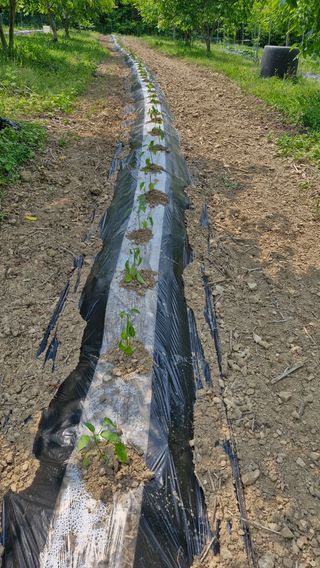 정석구님의 자유주제 · 자유게시판 작성글 사진