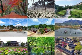 국중선님의 자유주제 · 자유게시판 작성글 사진