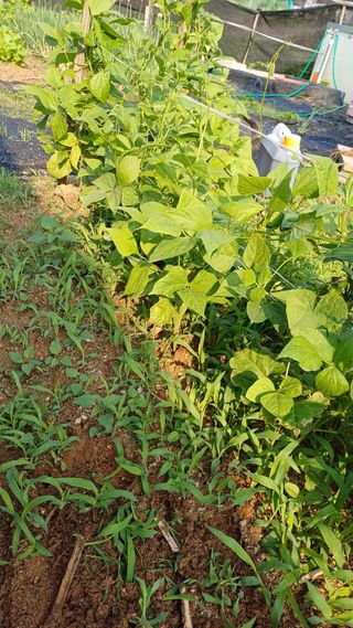 박순덕님의 자유주제 · 자유게시판 작성글 사진