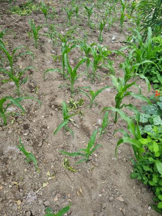 김용대님의 자유주제 · 자유게시판 작성글 사진