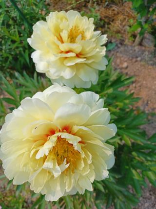 자연을사랑하자님의 자유주제 · 사진전 작성글 사진