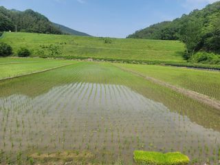 귤9669님의 자유주제 · 자유게시판 작성글 사진