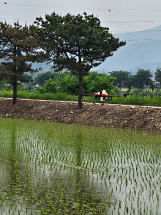 윤재하님의 자유주제 · 자유게시판 작성글 사진
