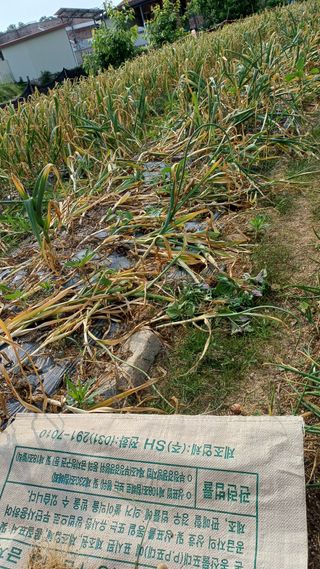 박순덕님의 자유주제 · 자유게시판 작성글 사진