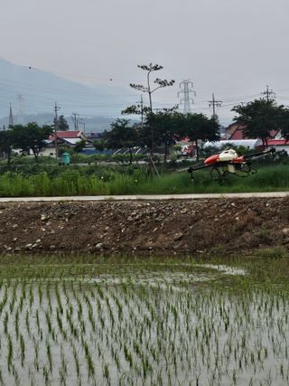 윤재하님의 자유주제 · 자유게시판 작성글 사진