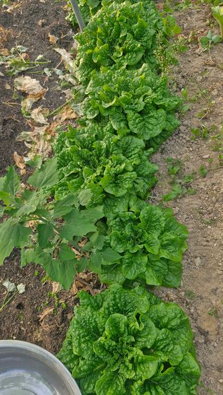 정석구님의 자유주제 · 자유게시판 작성글 사진