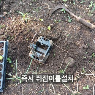 소농인님의 자유주제 · 자유게시판 작성글 사진