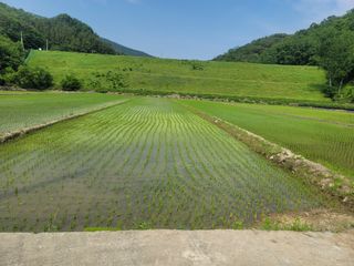 귤9669님의 자유주제 · 자유게시판 작성글 사진