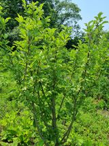 팜모닝 자유주제·자유게시판 게시글 이미지