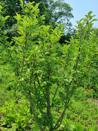 조방호님의 자유주제 · 자유게시판 작성글 사진