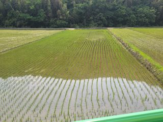 귤9669님의 자유주제 · 자유게시판 작성글 사진