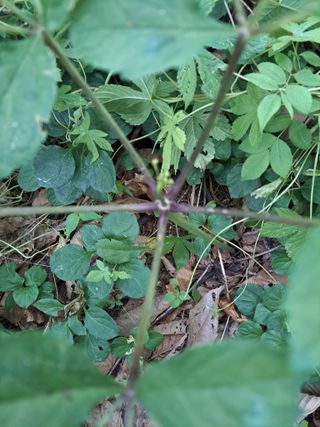 좋은인연원님의 자유주제 · 사진전 작성글 사진