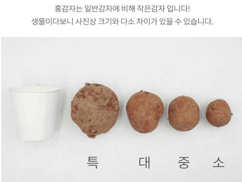 스피드번님의 장터 판매 상품 [홍감자] 첨부 사진