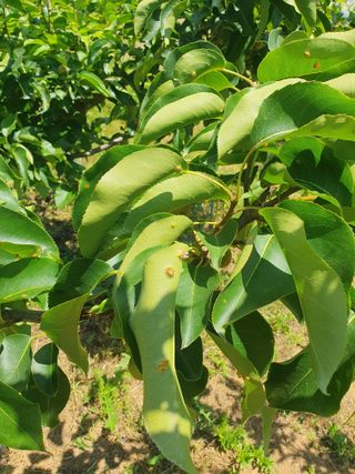 두릅나무10495님의 자유주제 · 자유게시판 작성글 사진