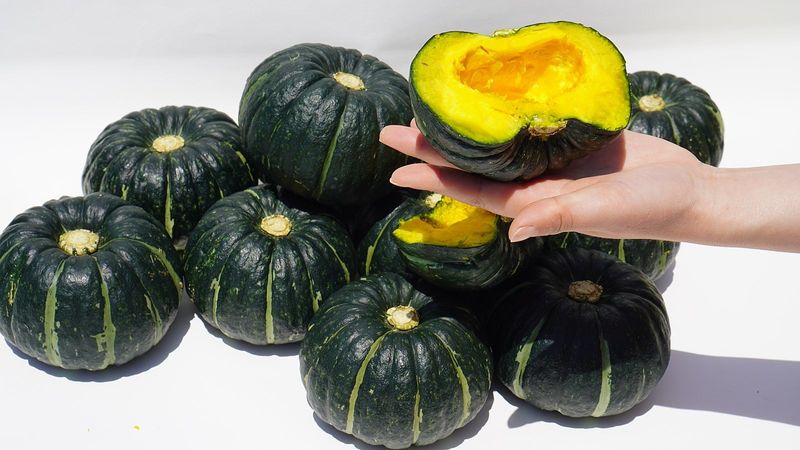 승현이네농님의 장터 판매 상품 [해남미나밤호박 보우짱(4kg) (8kg) (12kg) (16kg)] 첨부 사진