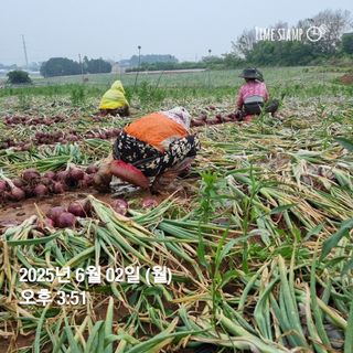 민들레님의 자유주제 · 자유게시판 작성글 사진