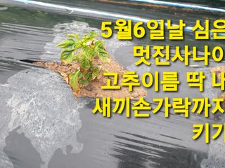겨울연가님의 자유주제 · 자유게시판 작성글 사진