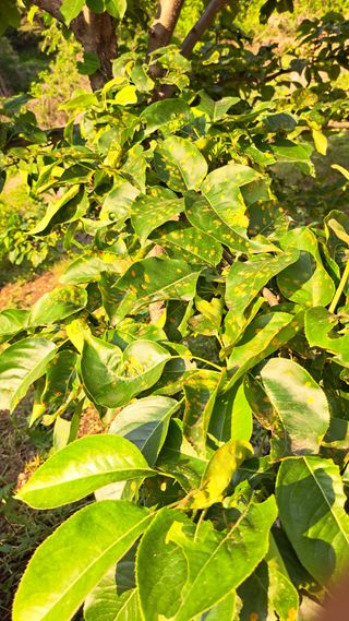 홍반장님의 자유주제 · 자유게시판 작성글 사진